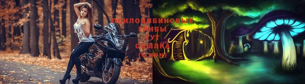 гидра Белокуриха