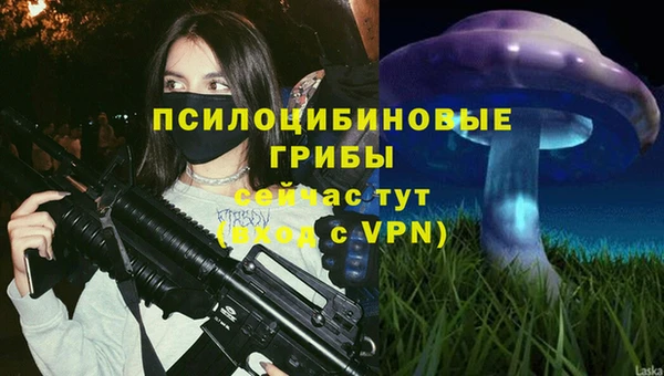 гидра Белокуриха